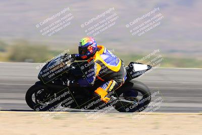 media/Apr-14-2024-SoCal Trackdays (Sun) [[70f97d3d4f]]/3-Turn 12 Speed Pans (945am)/